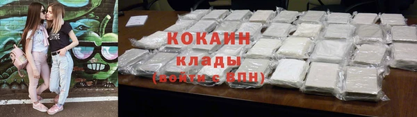 прущие грибы Абаза