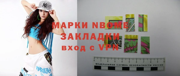 прущие грибы Абаза