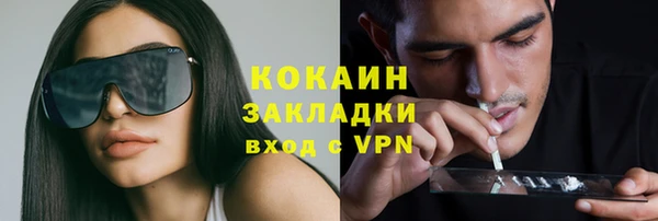 прущие грибы Абаза