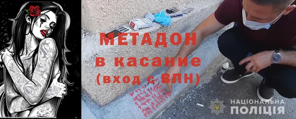 прущие грибы Абаза
