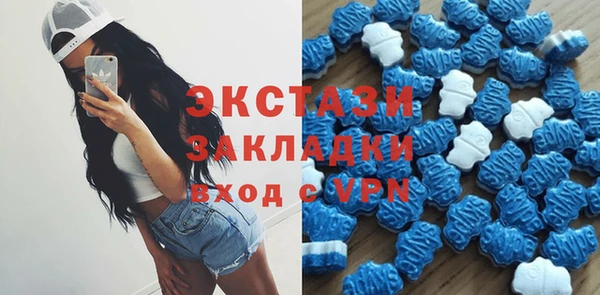 прущие грибы Абаза