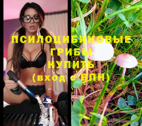 гашиш Абинск
