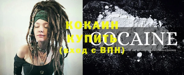 прущие грибы Абаза
