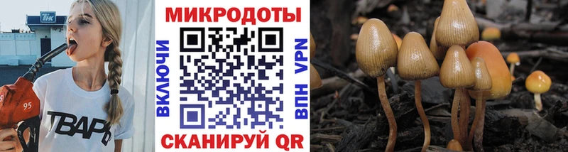 МЕГА как войти  Касли  Галлюциногенные грибы прущие грибы  закладки 